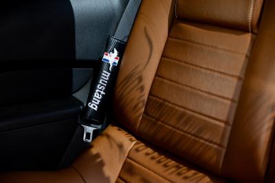 2009 Ford Mustang V6