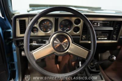 1984 Chevrolet S10 Blazer Sport 4x4