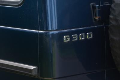 1995 Mercedes - Benz 300 GEL
