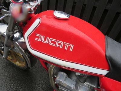 1979 Ducati 900SD DARMAH