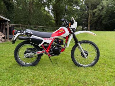 1983 Honda XL125R