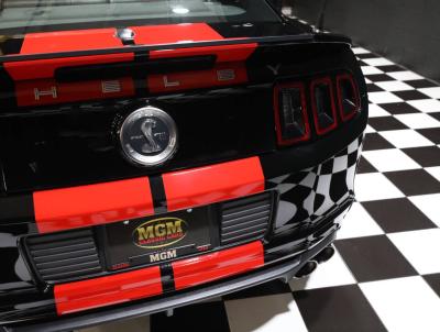 2013 Ford Shelby GT500