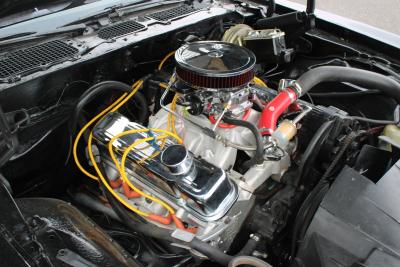 1979 Pontiac FIREBIRD 400 C1 V8