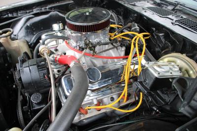 1979 Pontiac FIREBIRD 400 C1 V8