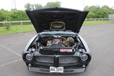 1979 Pontiac FIREBIRD 400 C1 V8