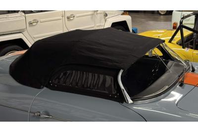 1965 Volkswagen SPEEDSTER