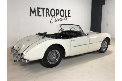1954 Swallow Doretti