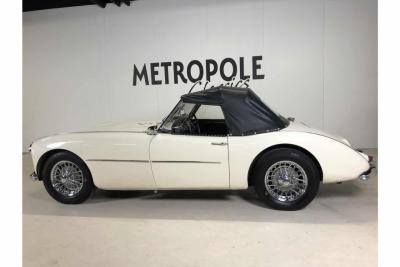 1954 Swallow Doretti
