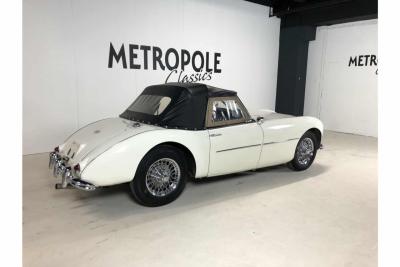 1954 Swallow Doretti