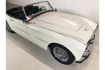 1954 Swallow Doretti