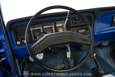 1979 Ford F-250