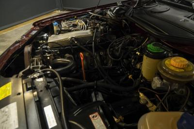 1990 Audi 100 Quattro &ldquo;The 5-Cylinder in Zyclamrot Metallic&rdquo;