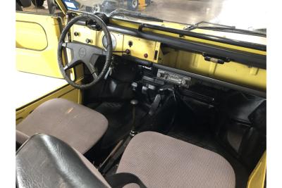 1973 Volkswagen Type 181