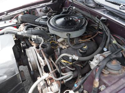 1986 Mercury Cougar