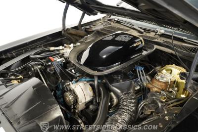 1976 Pontiac Firebird Trans am 50th anniversary special edition