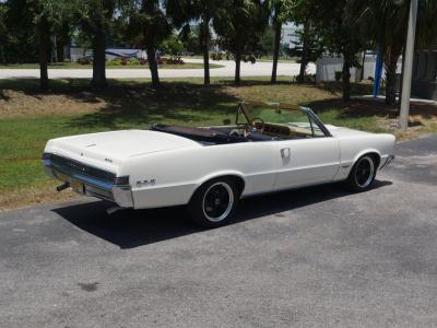 1965 Pontiac LeMans GTO Tribute Restomod
