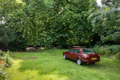 1981 Alfa Romeo Giulietta 2.0 Turbo Bell &amp; Covill Intercooled