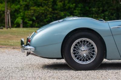 1956 Austin - Healey 100/6