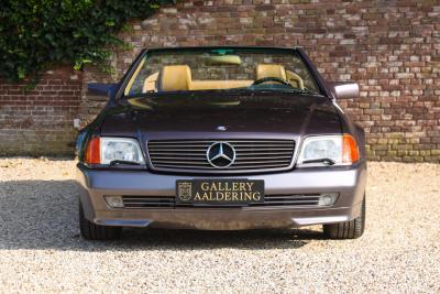1990 Mercedes - Benz SL 500 &ldquo;Bornite over Safran&rdquo; SL500 &ldquo;Bornite over Safran&rdquo;