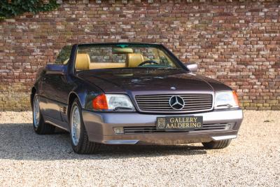 1990 Mercedes - Benz SL 500 &ldquo;Bornite over Safran&rdquo; SL500 &ldquo;Bornite over Safran&rdquo;