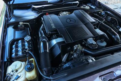 1990 Mercedes - Benz SL 500 &ldquo;Bornite over Safran&rdquo; SL500 &ldquo;Bornite over Safran&rdquo;