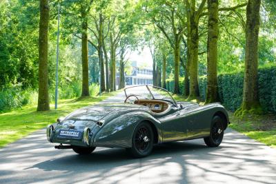 1951 Jaguar XK120 OTS