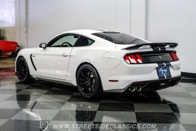 2019 Ford Mustang Shelby GT350