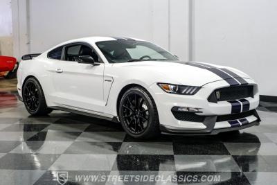 2019 Ford Mustang Shelby GT350