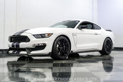 2019 Ford Mustang Shelby GT350