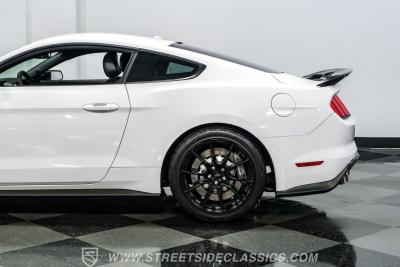 2019 Ford Mustang Shelby GT350