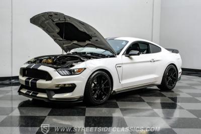 2019 Ford Mustang Shelby GT350