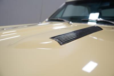 1967 Chevrolet Chevelle SS 454 Tribute