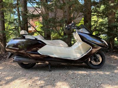 2008 Yamaha CP250 MAX AM
