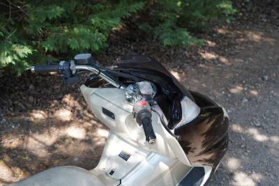 2008 Yamaha CP250 MAX AM