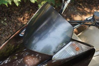 2008 Yamaha CP250 MAX AM