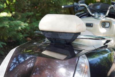 2008 Yamaha CP250 MAX AM