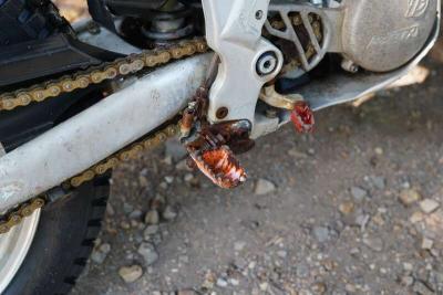1998 BETA TECHNO 250 B6