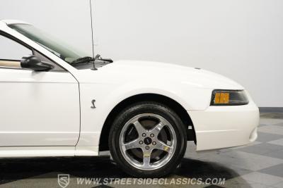2001 Ford Mustang SVT Cobra Convertible