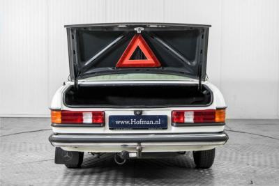 1980 Mercedes - Benz 300d w123