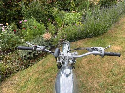 1974 BULTACO ALPINA