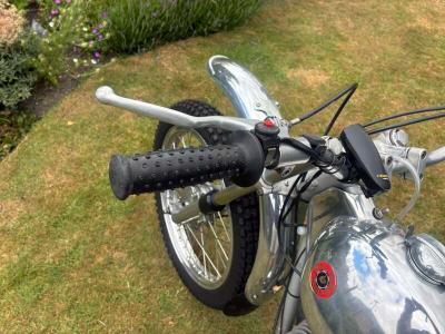 1974 BULTACO ALPINA