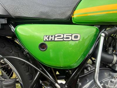 1979 Kawasaki KH250B