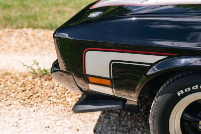 1973 Ford Mustang Mach 1