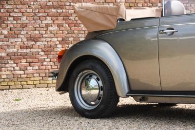 1979 Volkswagen Beetle 1303 Convertible &ldquo;Restored down to the last detail&rdquo;