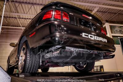 1996 Ford Mustang SVT Cobra