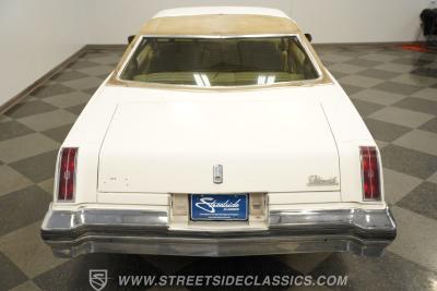 1976 Oldsmobile Cutlass Salon