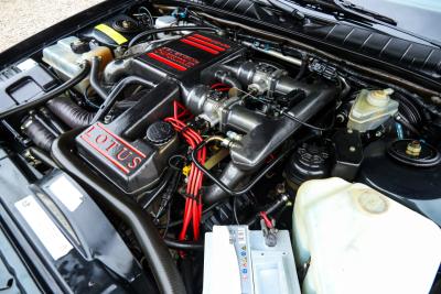 1992 Lotus Omega &ldquo;From the first owner&rdquo;