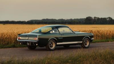 1966 Shelby GT350 Fastback