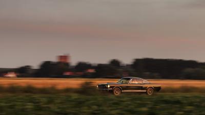 1966 Shelby GT350 Fastback