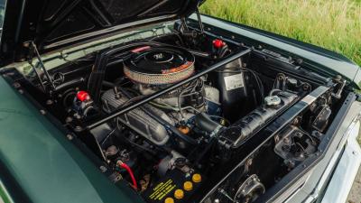 1966 Shelby GT350 Fastback